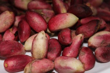 Similar image 8583213