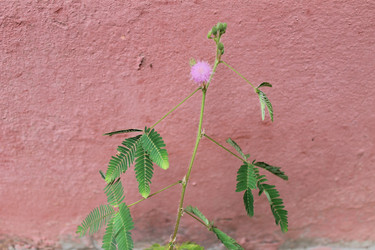 Similar image 8583214