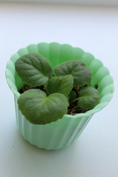 Similar image 8583242