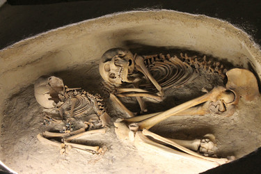 Similar image 8583247