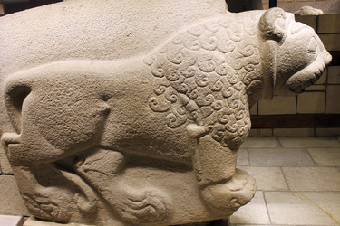 Similar image 8583249