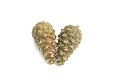 Similar image 8583359