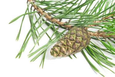 Similar image 8583371