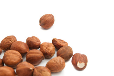 Similar image 8583396