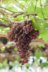 Similar image 8583462