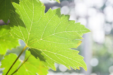 Similar image 8583465