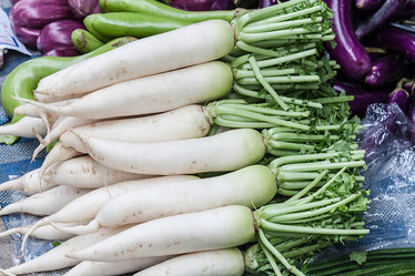 Similar image 8583467