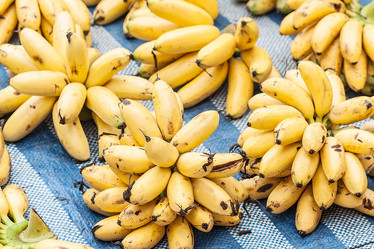 Similar image 8583468