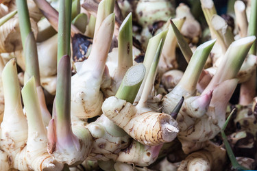 Similar image 8583474