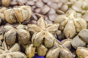 Similar image 8583494