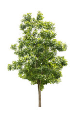 Similar image 8583498