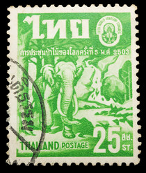 Similar image 8583502