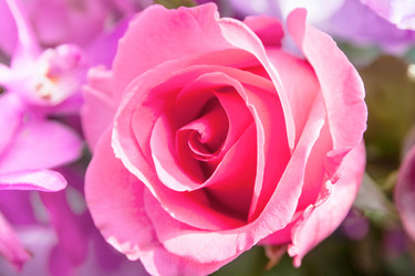 Similar image 8583503