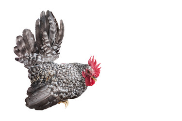 Similar image 8583504