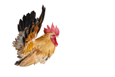 Similar image 8583505