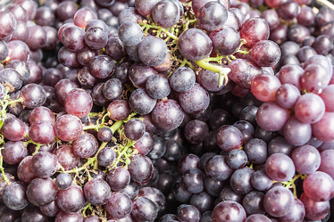 Similar image 8583511