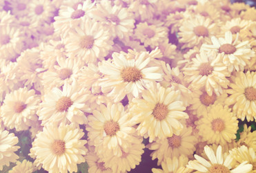 Similar image 8583515