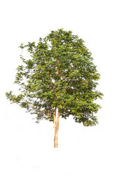 Similar image 8583516