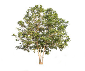 Similar image 8583518