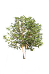 Similar image 8583520