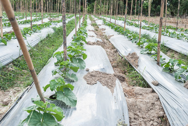 Similar image 8583521