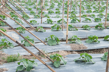 Similar image 8583522