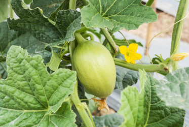 Similar image 8583524