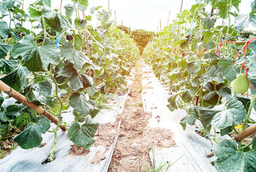 Similar image 8583528