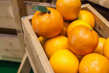 Similar image 8583540