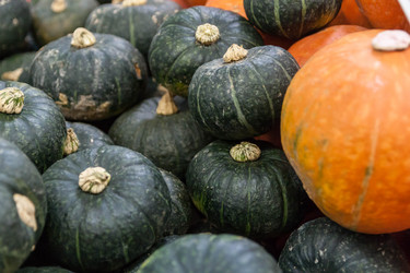 Similar image 8583544