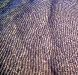 Similar image 8583641