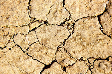 Similar image 8583654