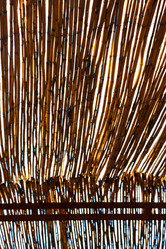 Similar image 8583666