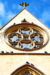 Similar image 8583671