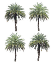 Similar image 8583685