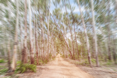 Similar image 8583689