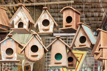 Similar image 8583705