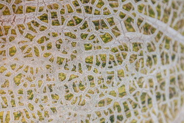 Similar image 8583706