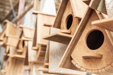 Similar image 8583707