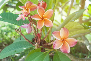 Similar image 8583722