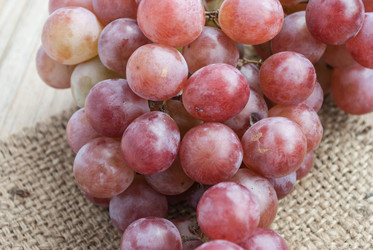 Similar image 8583727