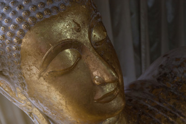 Similar image 8583729