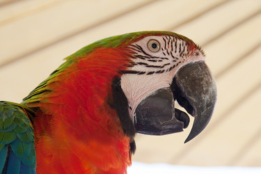 Similar image 8583733