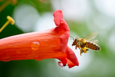 Similar image 8583748