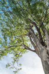 Similar image 8583973