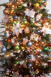 Similar image 8583981