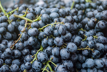 Similar image 8583992