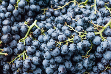 Similar image 8583993