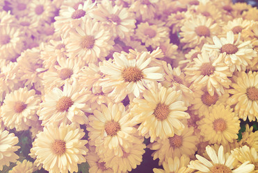 Similar image 8584010