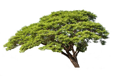 Similar image 8584022